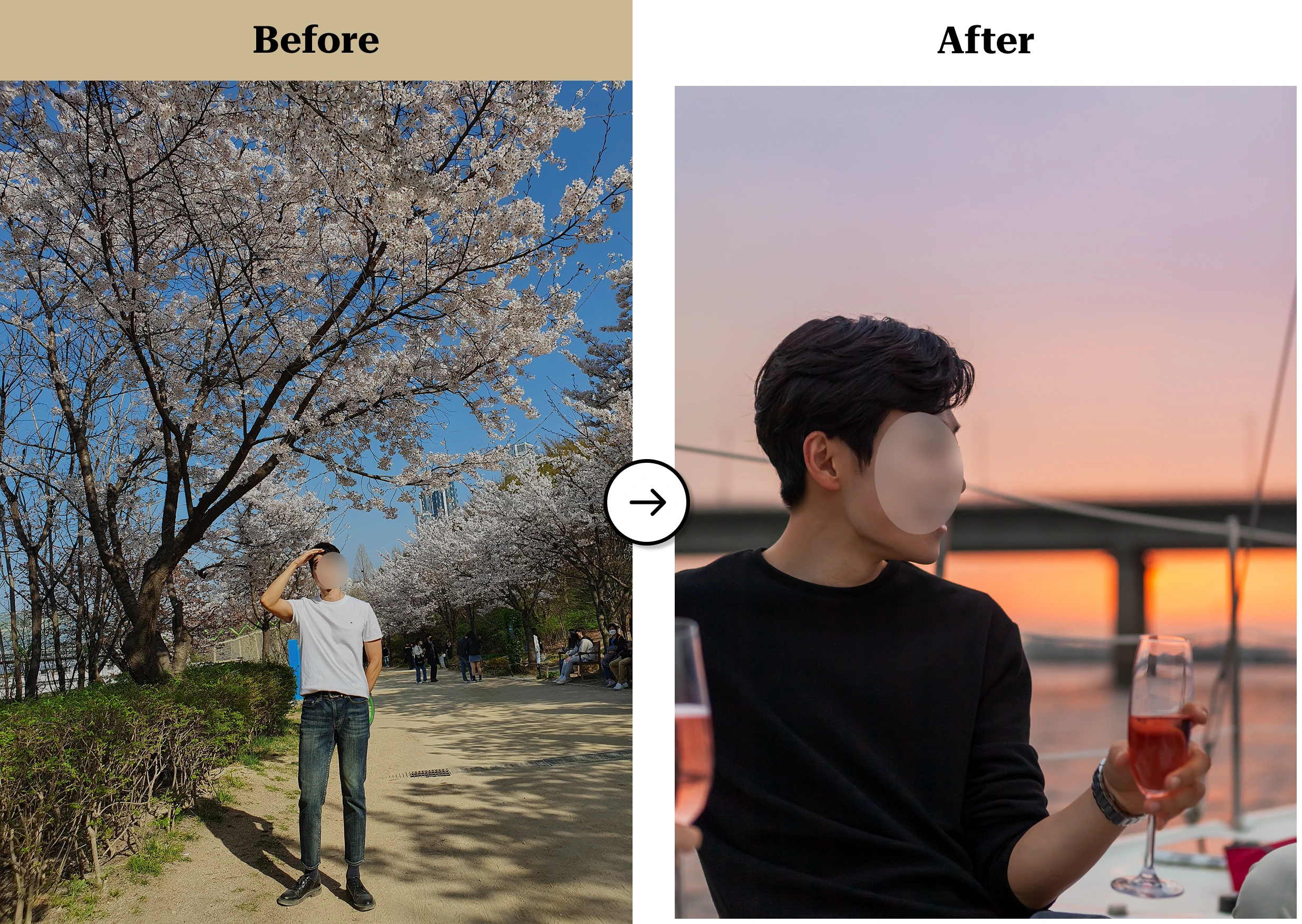 트란시투 결과물 이미지 1