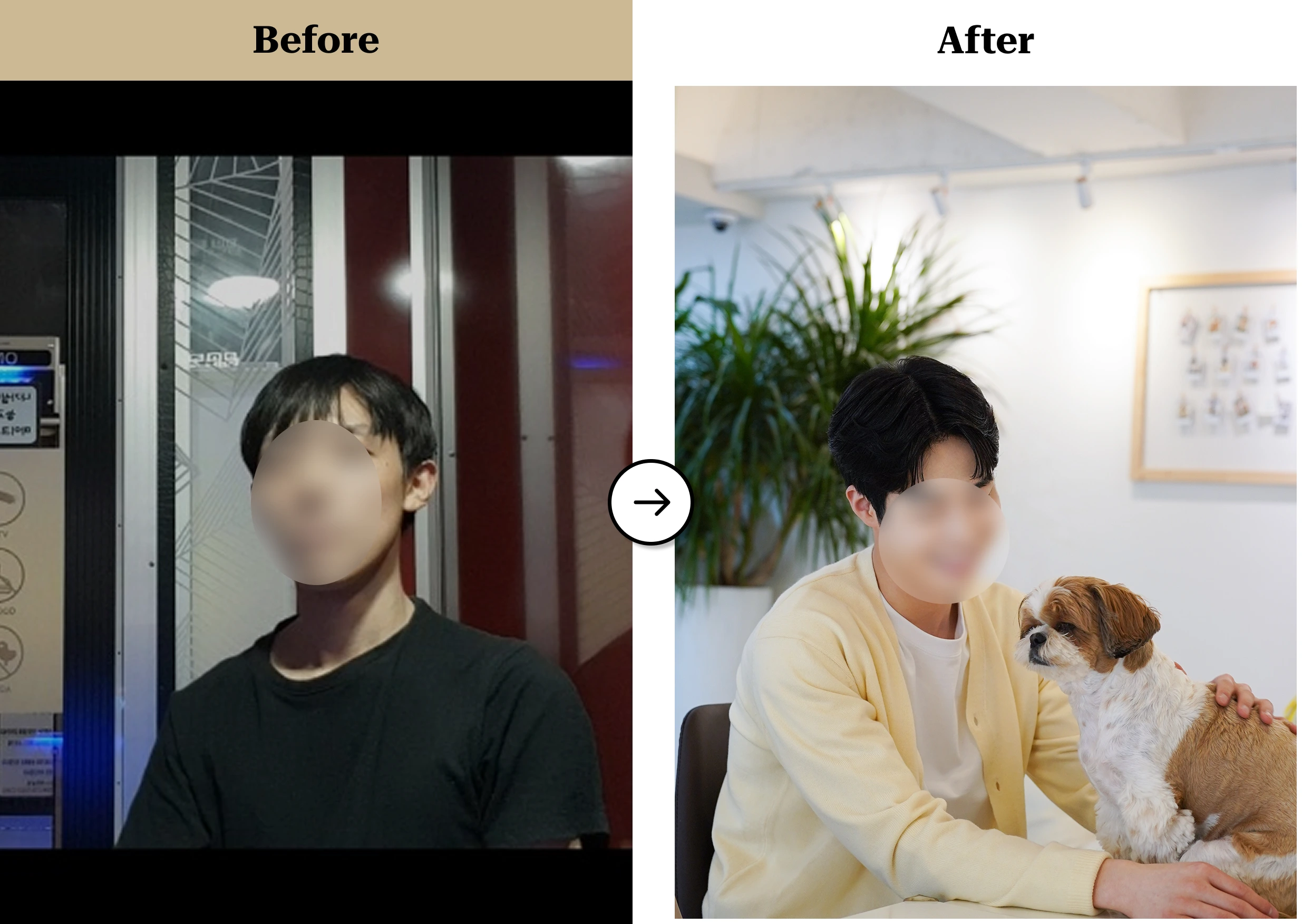 트란시투 결과물 이미지 52