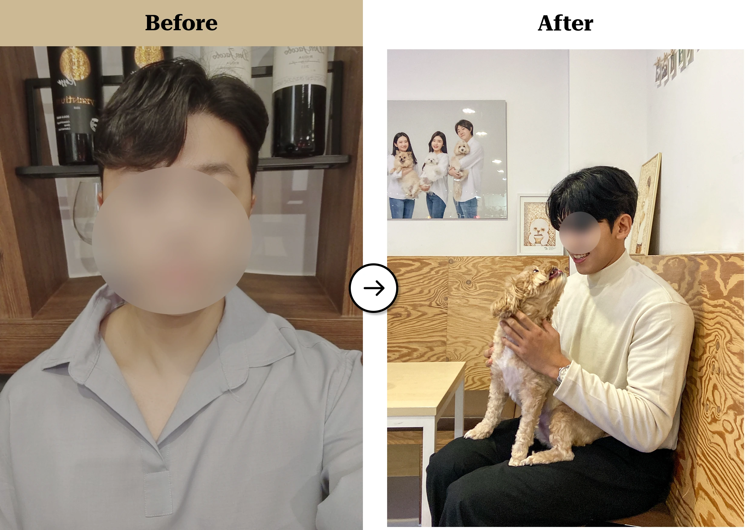 트란시투 결과물 이미지 63