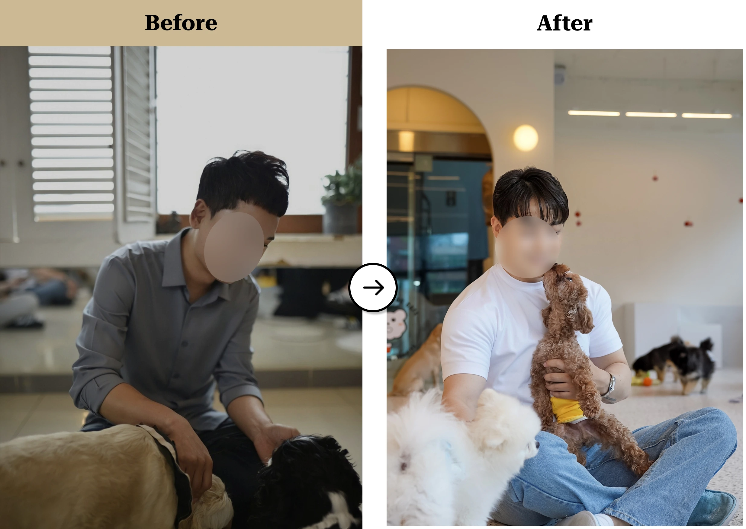 트란시투 결과물 이미지 35
