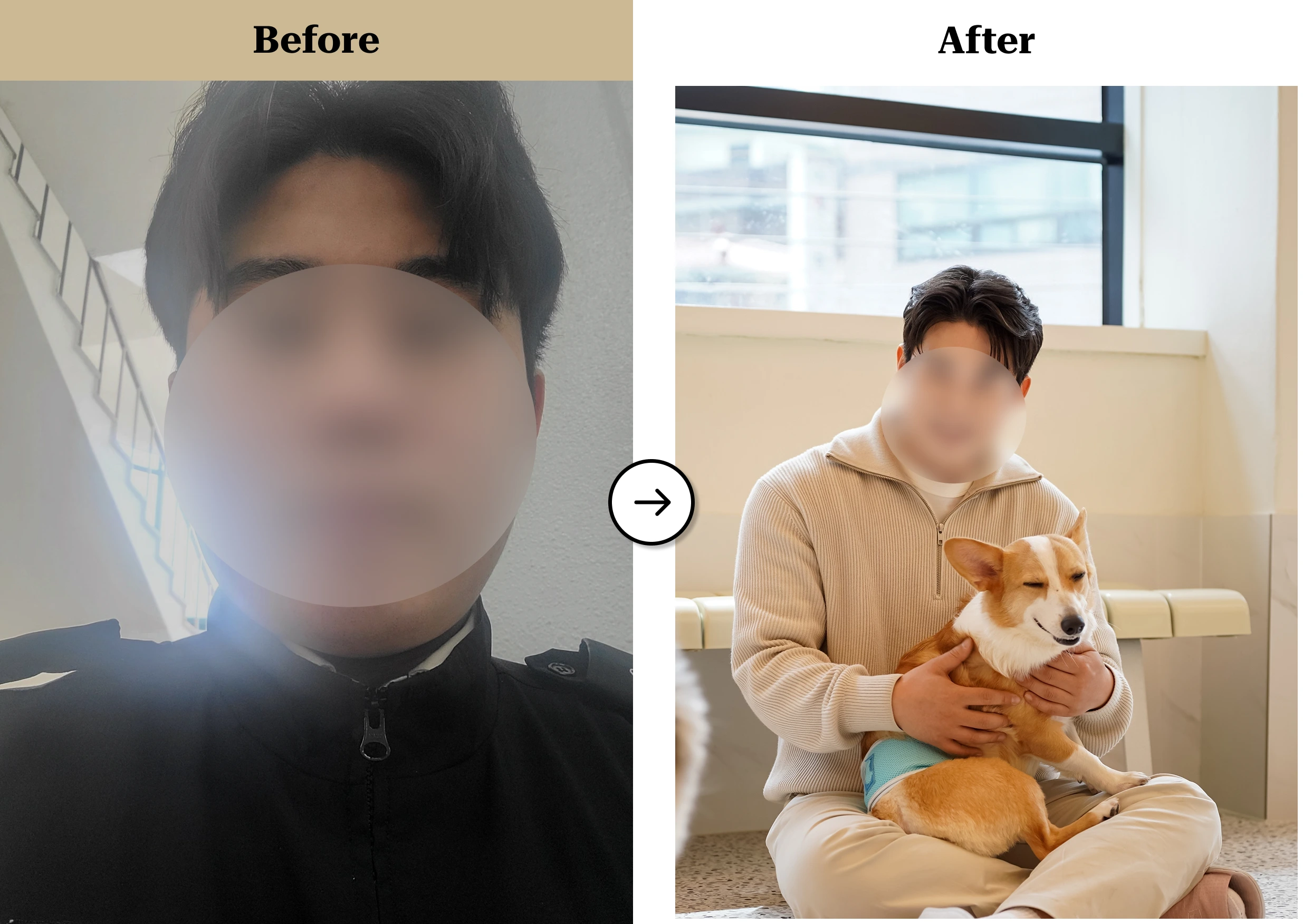 트란시투 결과물 이미지 37