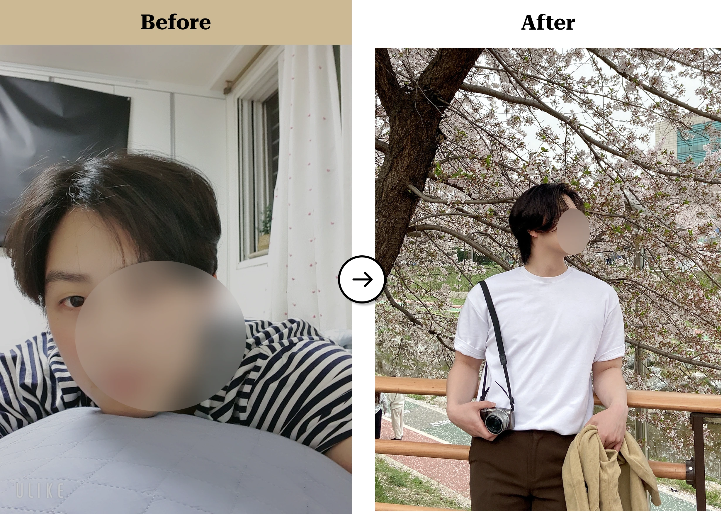 트란시투 결과물 이미지 9