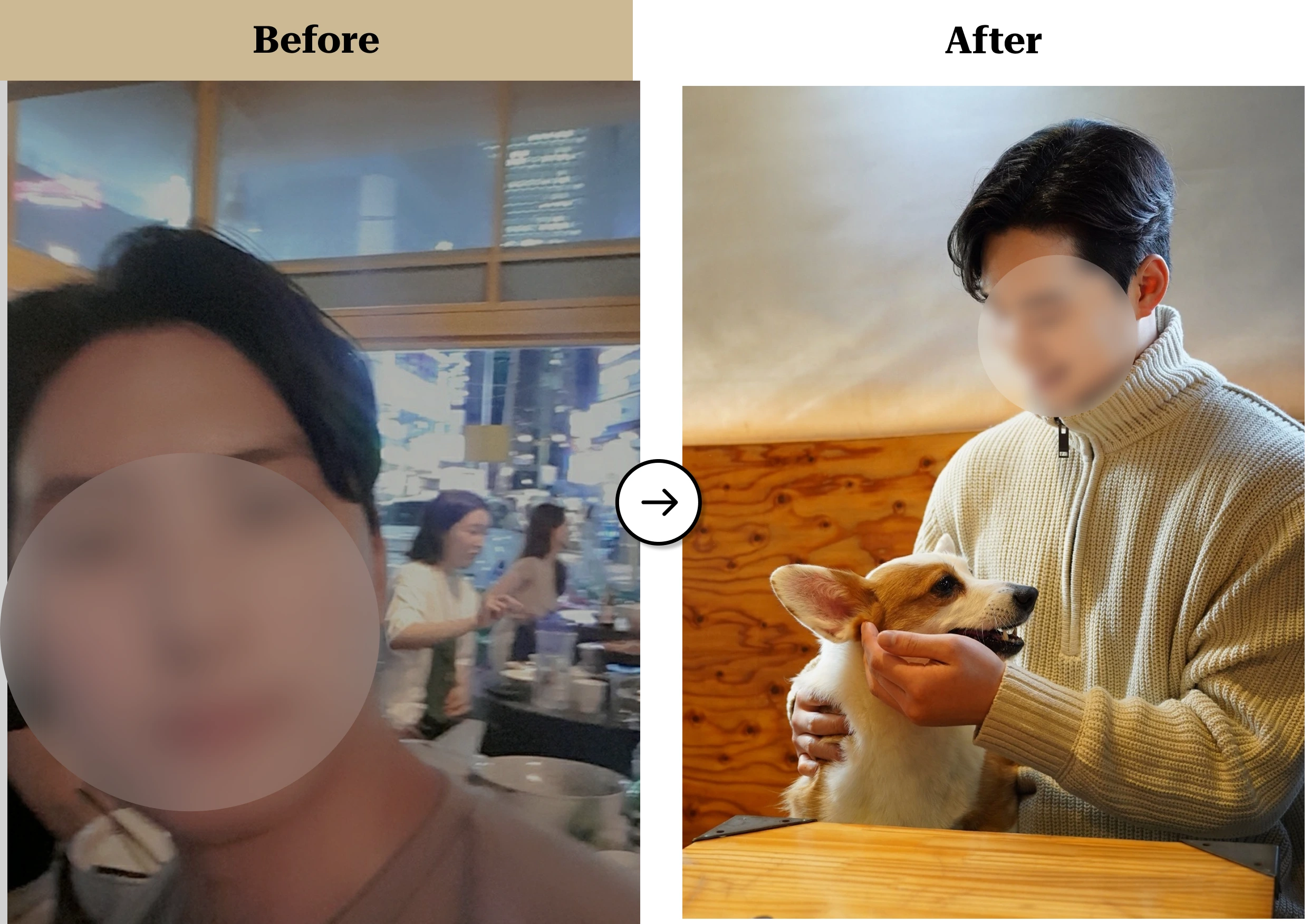 트란시투 결과물 이미지 10