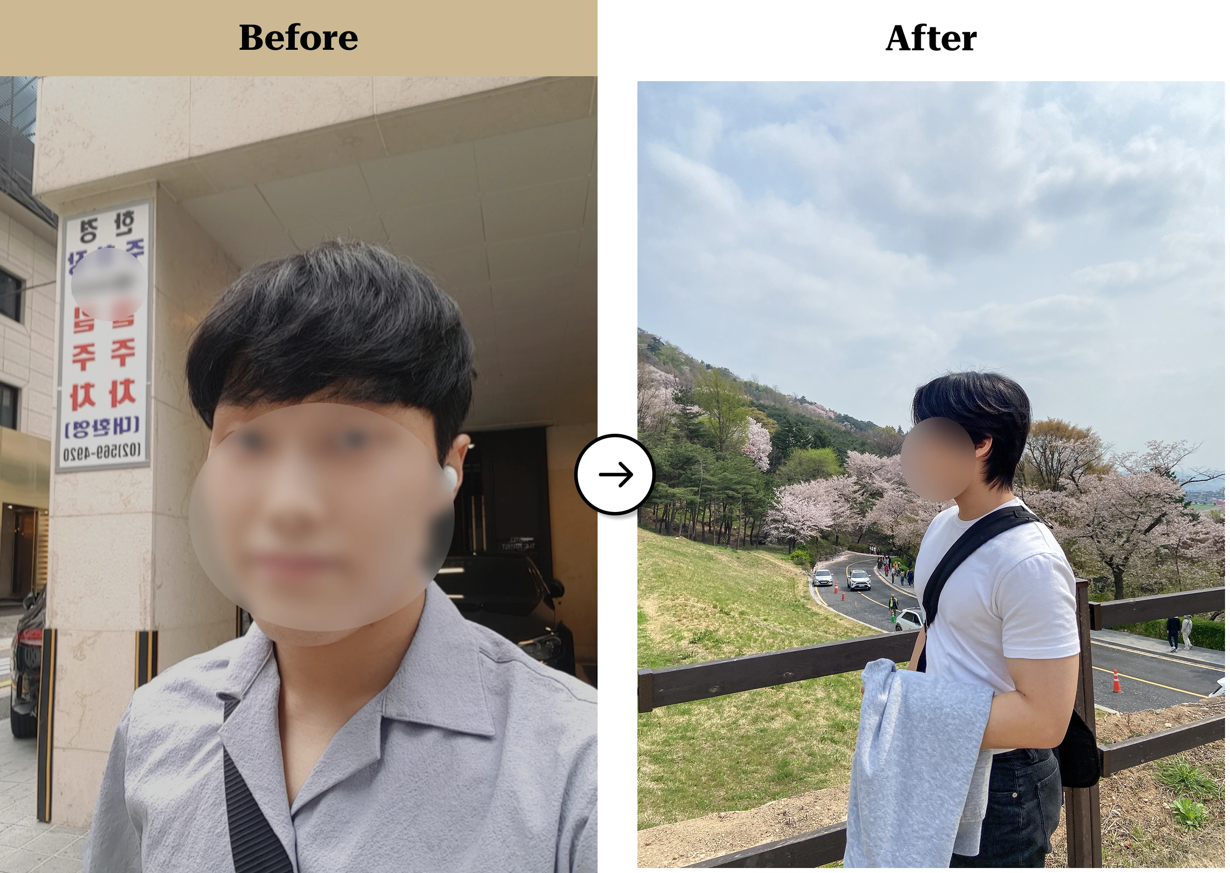 트란시투 결과물 이미지 16