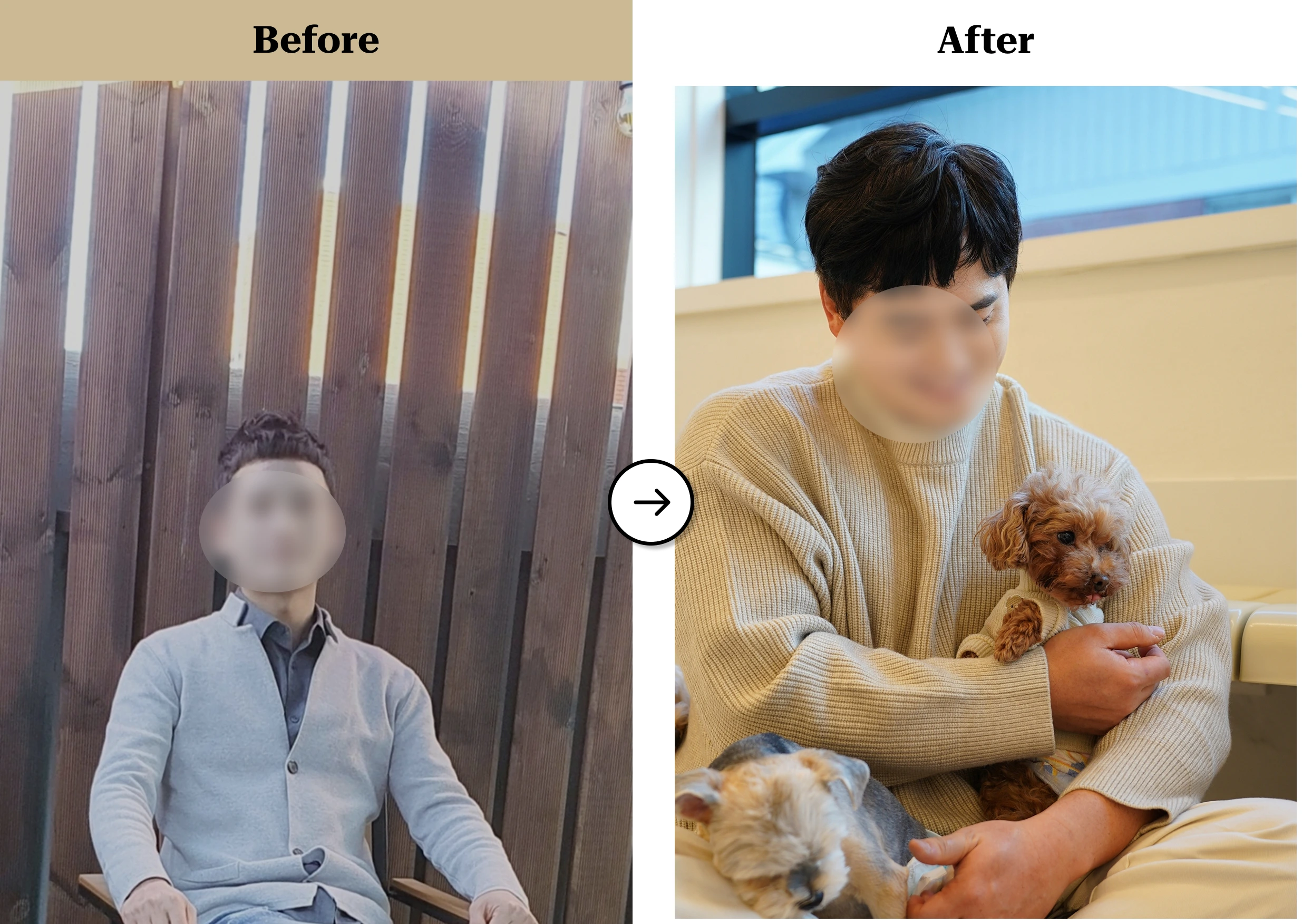 트란시투 결과물 이미지 11