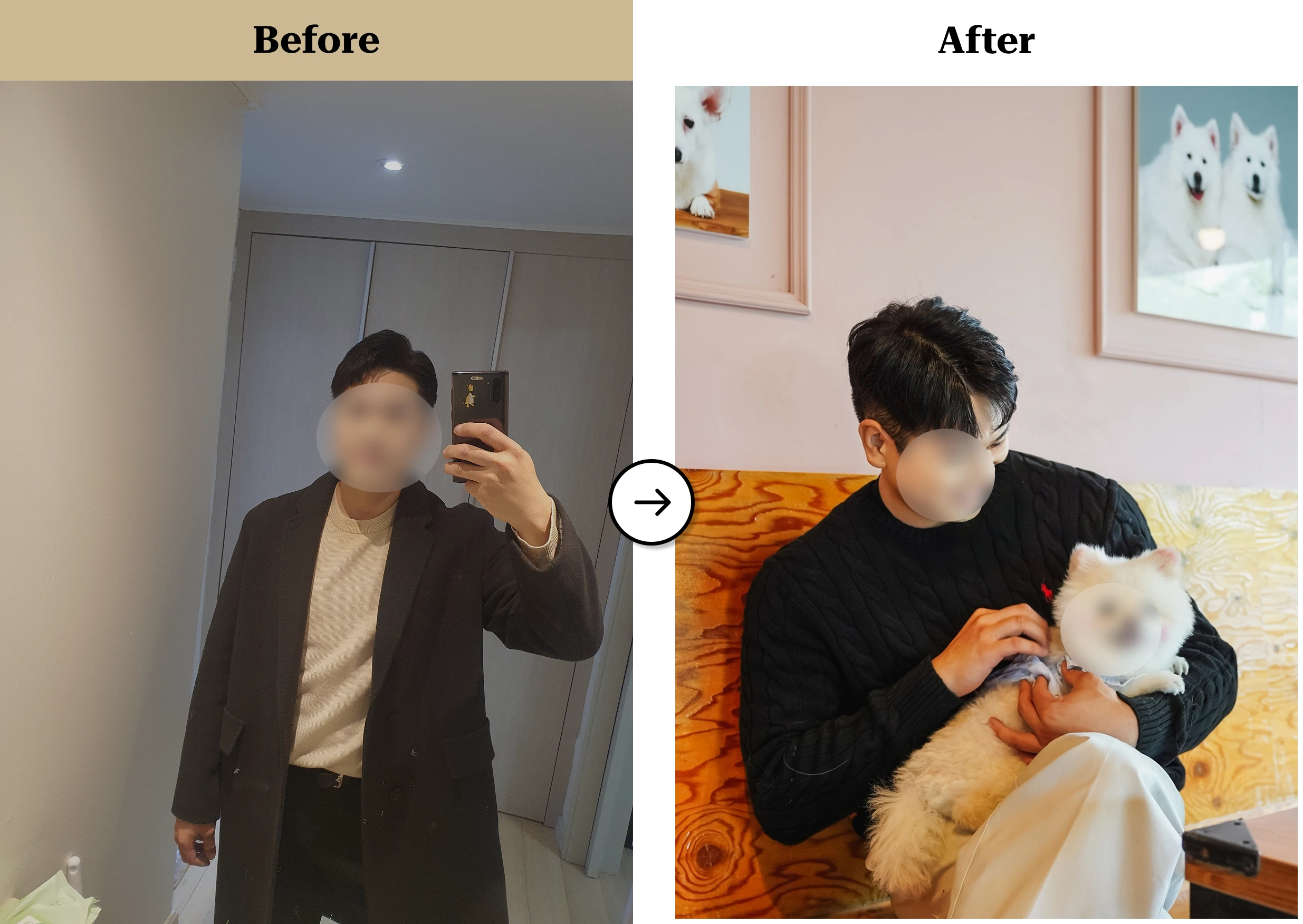트란시투 결과물 이미지 14