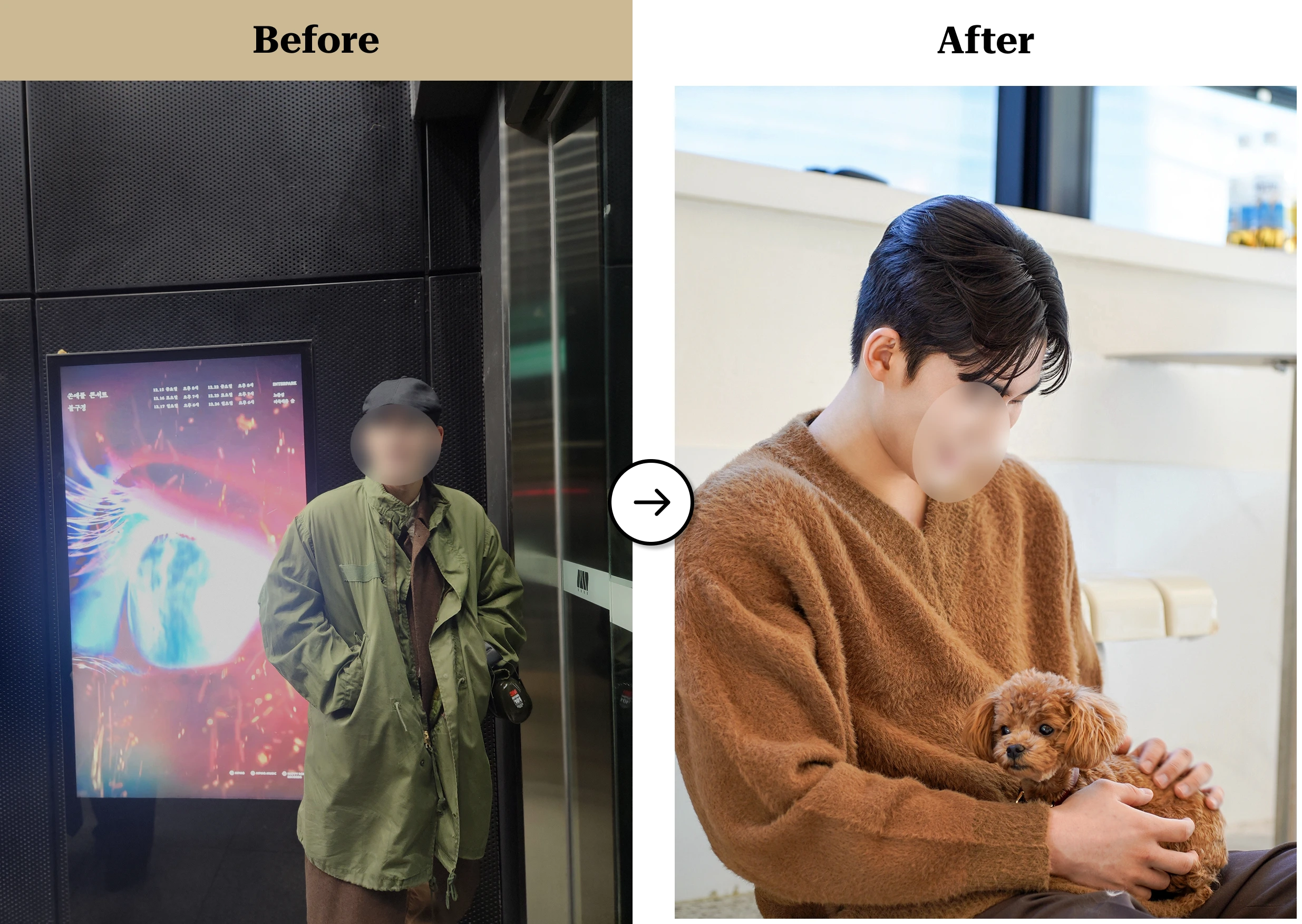 트란시투 결과물 이미지 15