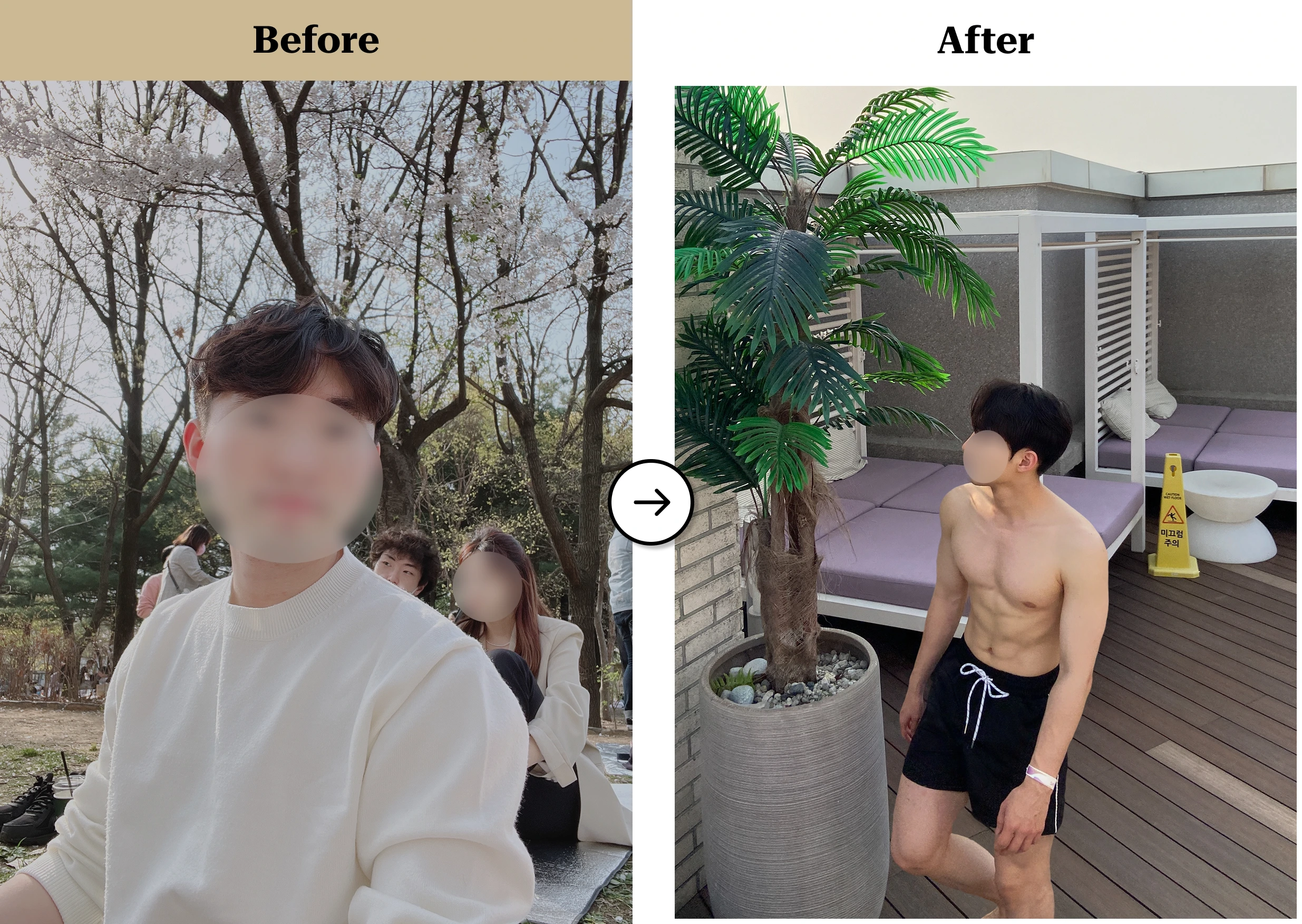 트란시투 결과물 이미지 19