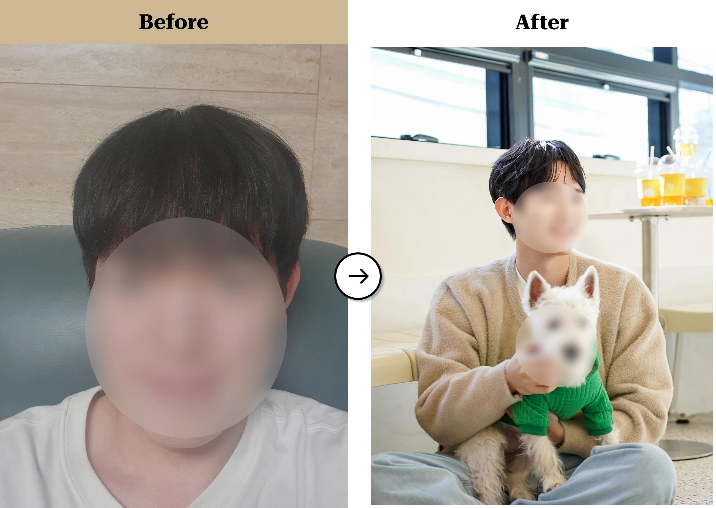 트란시투 결과물 이미지 21