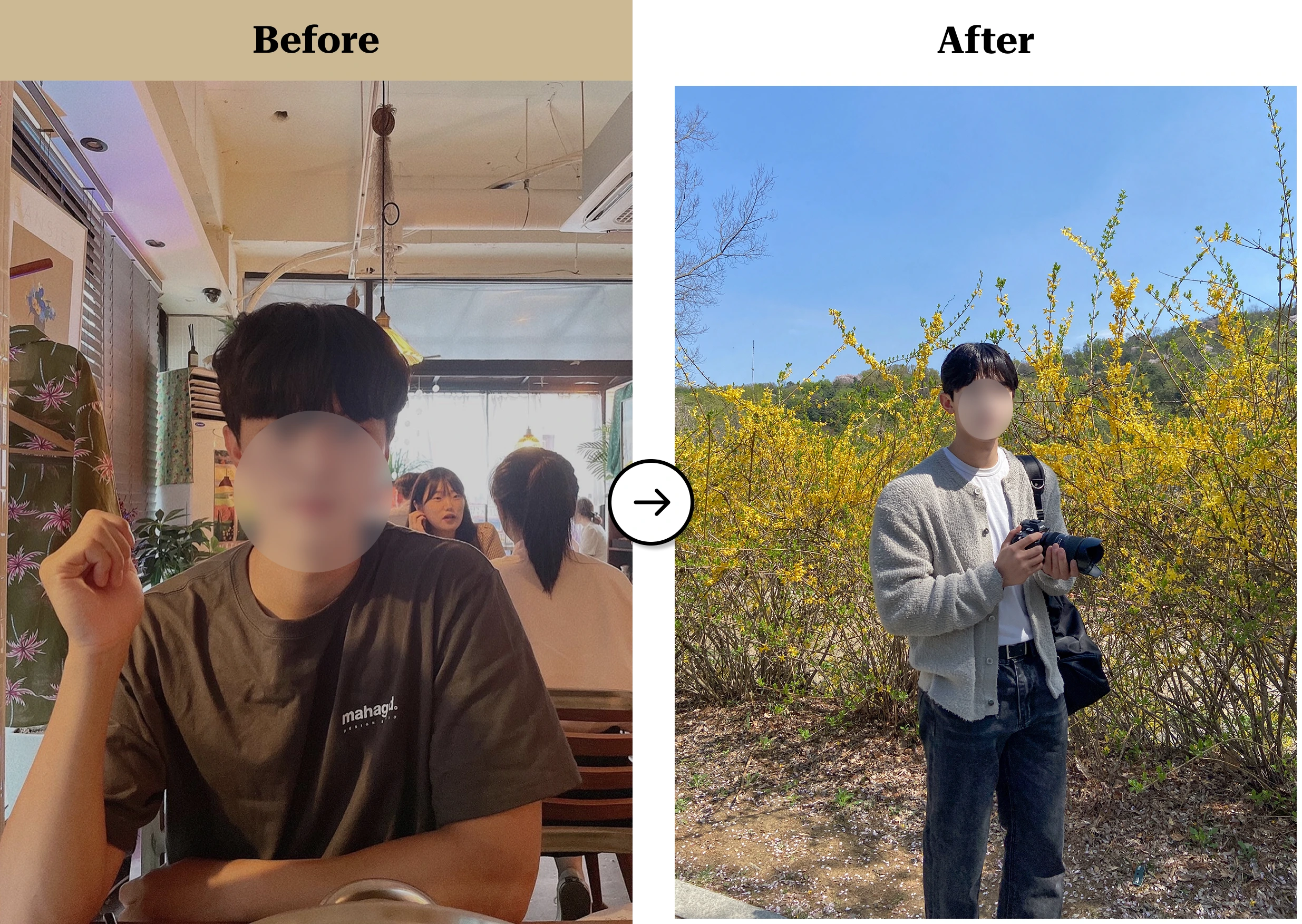 트란시투 결과물 이미지 25