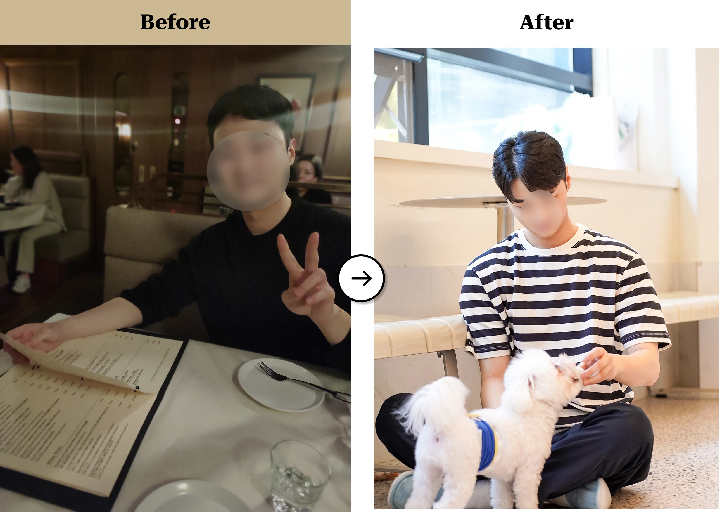 트란시투 결과물 이미지 39