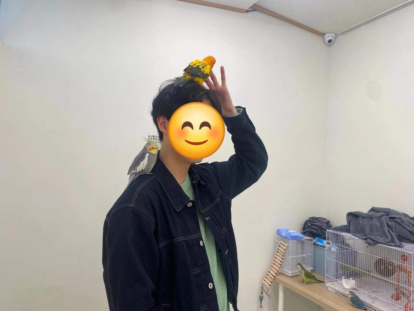 프로필 촬영후기