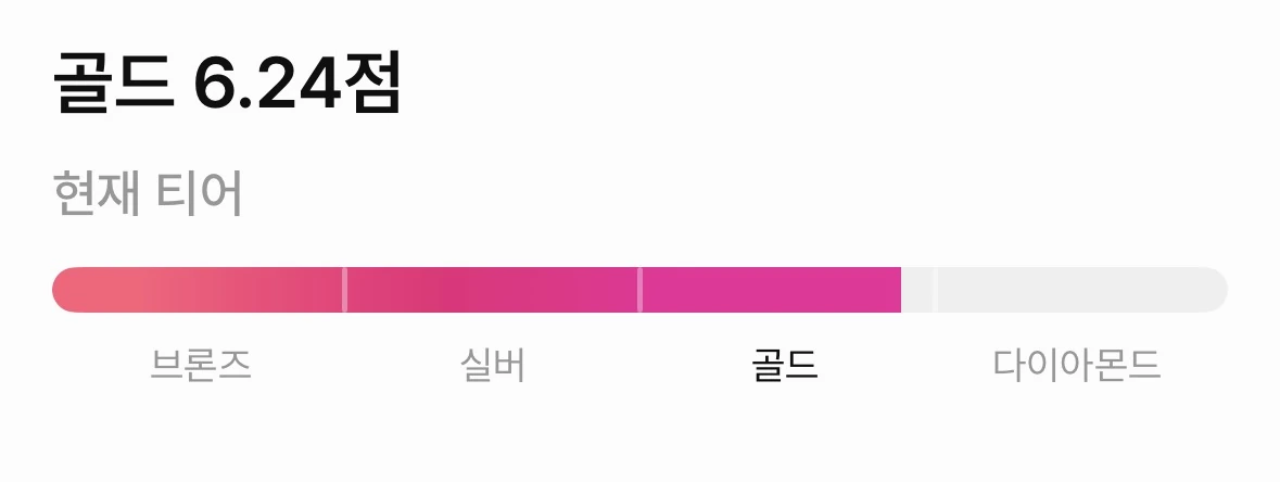 글램 x 트란시투 후기